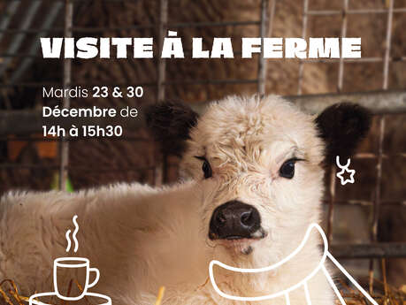 Visites de la ferme de St Hugues
