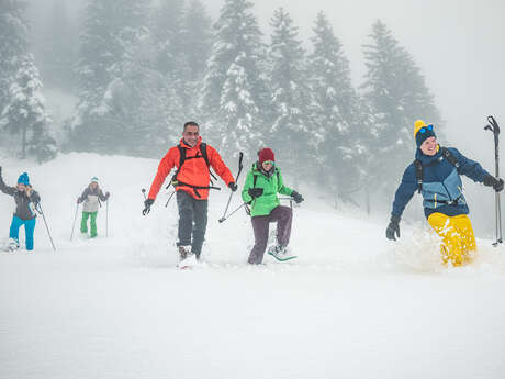 Pincerie - Crêt du boeuf