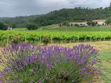 Château la Prégentière