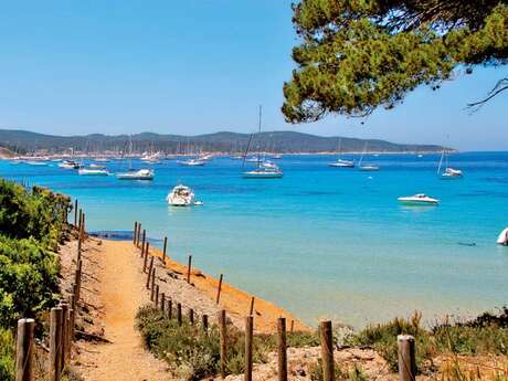 Excursion bateau : Porquerolles de Ste Maxime