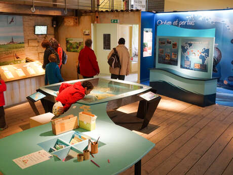 Musée de la Maison du Fier : exposition sur la biodiversité de l'île de Ré