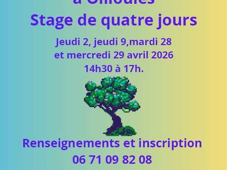 Workshop zur Einführung in die Genealogie