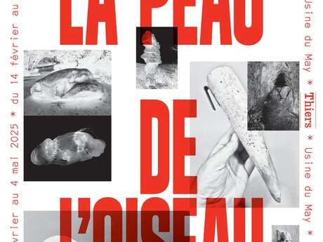 Exposition - La peau de l’oiseau