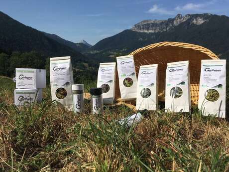 Les Artisans vous ouvrent leurs portes ! Visite de l'atelier Quintessence de Chartreuse