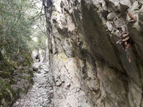 Sortie buissonnière "Les gorges de Vaumales"