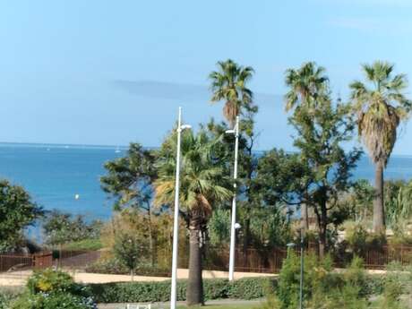 Le petit Coudou - Studio - 4 personnes