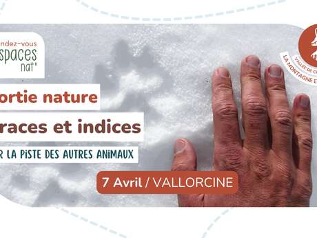 Naturausflug - Spuren und Hinweise von Wildtieren