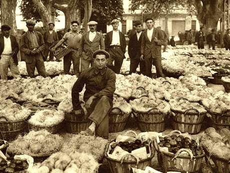 (Agri)Cultures - Exposition