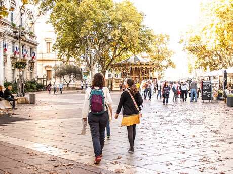 Avignon en un clin d'oeil