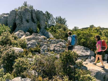 SIGNES - L'éléphant de pierre