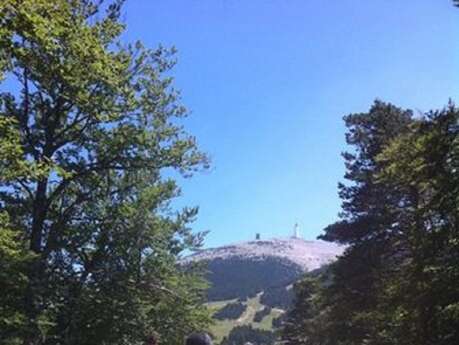 Les Crinières du Mont Ventoux