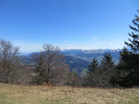 Point de vue - La Pointe de Brantaz