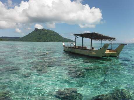 Huahine Nautique - Whale watching tour