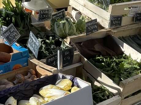 Marché de St Martin de Valgalgues