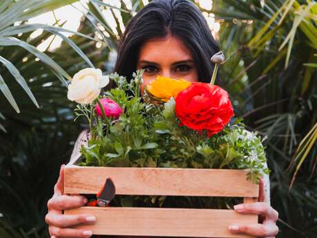 Balade et création autour des fleurs urbaines