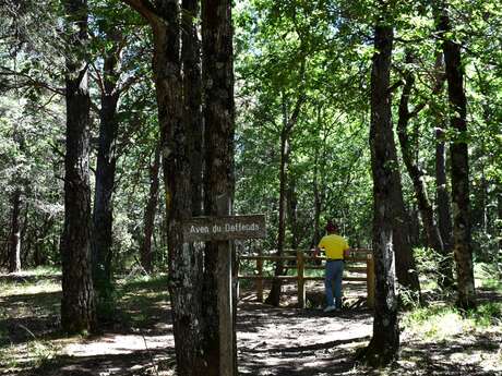 SAULT - Les bois du Défends (iti court)