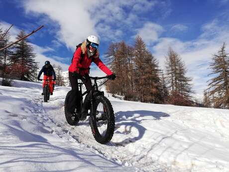 Fat Bike