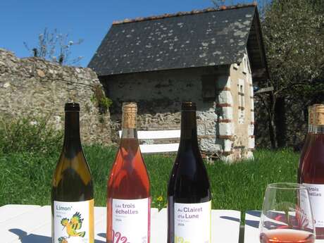 Domaine du Clos Frémur