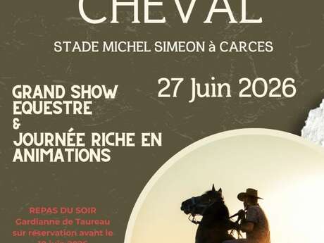 Fête du cheval : animations et show équestre