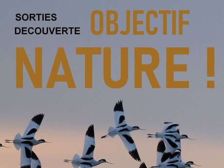 Sortie « Objectif Nature » - Marais d'Ars-en-Ré Sortie « Objectif Nature » - Marais d'Ars-en-Ré