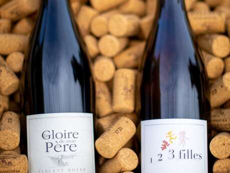 Domaine de la Bastide