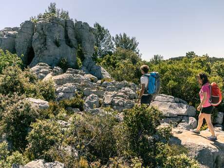 SIGNES - L'éléphant de pierre