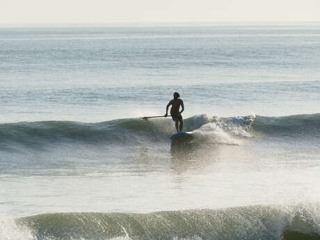 Stand up paddle surfing with Papai Paddle