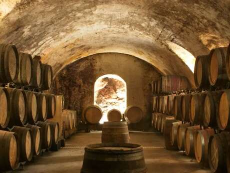 Complete visit and tasting at Domaine Corps de Loup