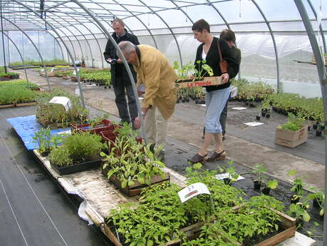 Oasis, Tuin van Cocagne