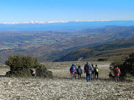 À Petits Pas - Animatrice Loisirs Sportifs