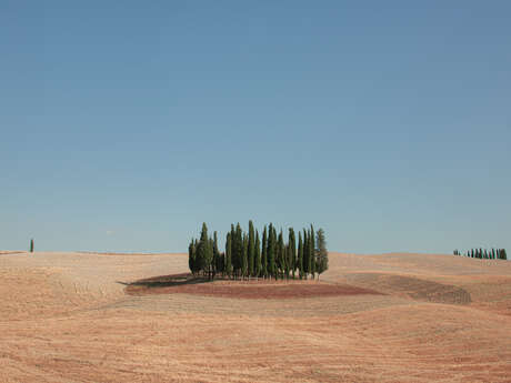 Exposition «Metamorphosis»