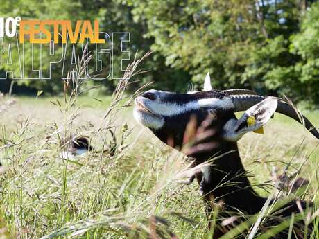 Festival de l'Alpage : Visite de la ferme de Coste Joffre