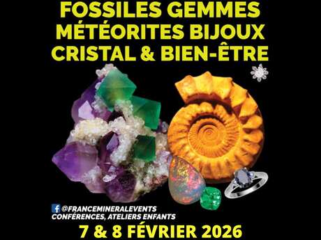 Salon des minéraux, fossiles, gemmes, métérites, bijoux, cristal & bien-être