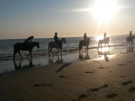 Promenade à cheval sur le bord de la plage par le haras des Evières