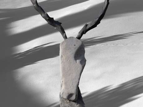 Exposition "Ombre rousse"