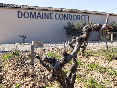 Oenotourisme au Domaine Condorcet