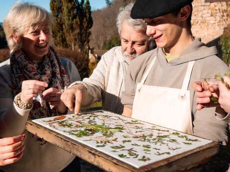 Expérimentez le Livradois-Forez