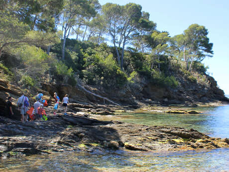 Activité enfant "Les pieds dans l'eau"