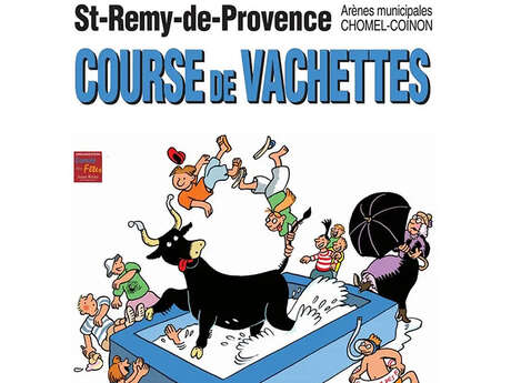 Courses de vachettes piscine - Comité des Fêtes