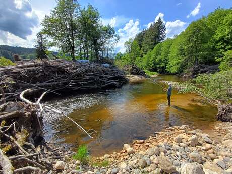 Moniteur guide de pêche D.E / Albert Vallet