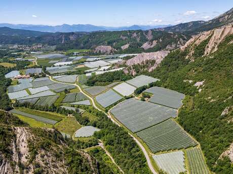 Tour de la Blachère (N°24)