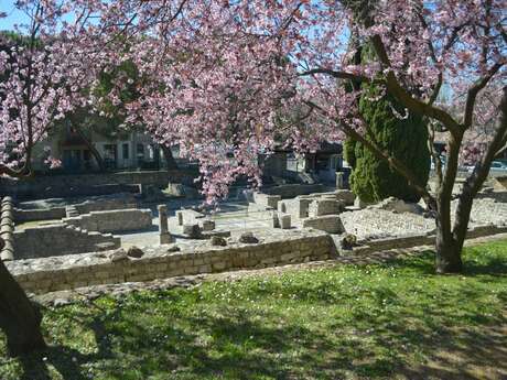 Guided tours of the ancient site of Puymin