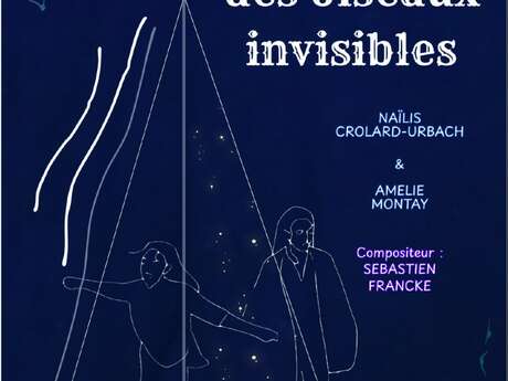 La migration des oiseaux invisibles