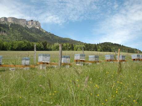 Visite de La Ferme Aux Abeilles de Chartreuse