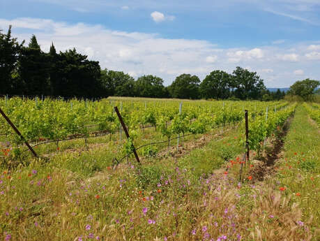 Domaine des Blaquières