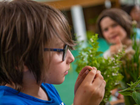 Atelier pour les enfants : Développer les 5 sens