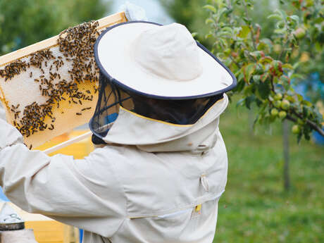 Formation à la Plantelière "Pour les apiculteurs amateurs"