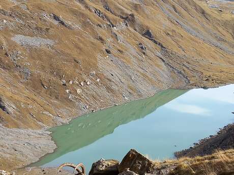 Randonnée naturaliste