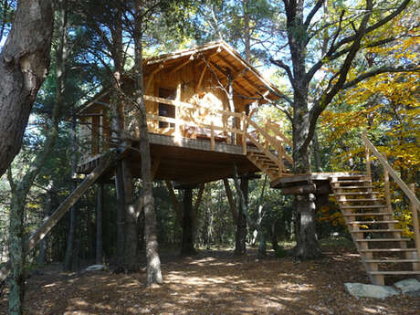 Une Cabane en Haute-Provence