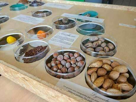 Exposition "Graines d’avenir"